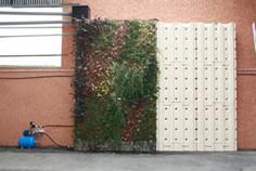 MUR VEGETAL